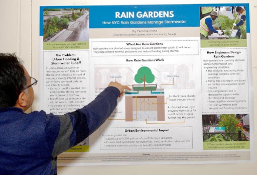 BCC Rain Gardens