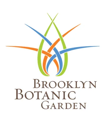 BBG logo