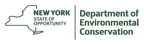 DEC logo